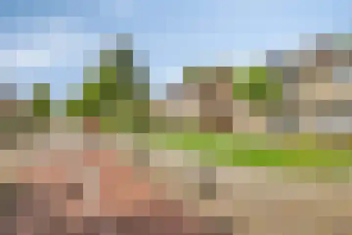 Mozartlaan 53 Boxtel thumbnail 37