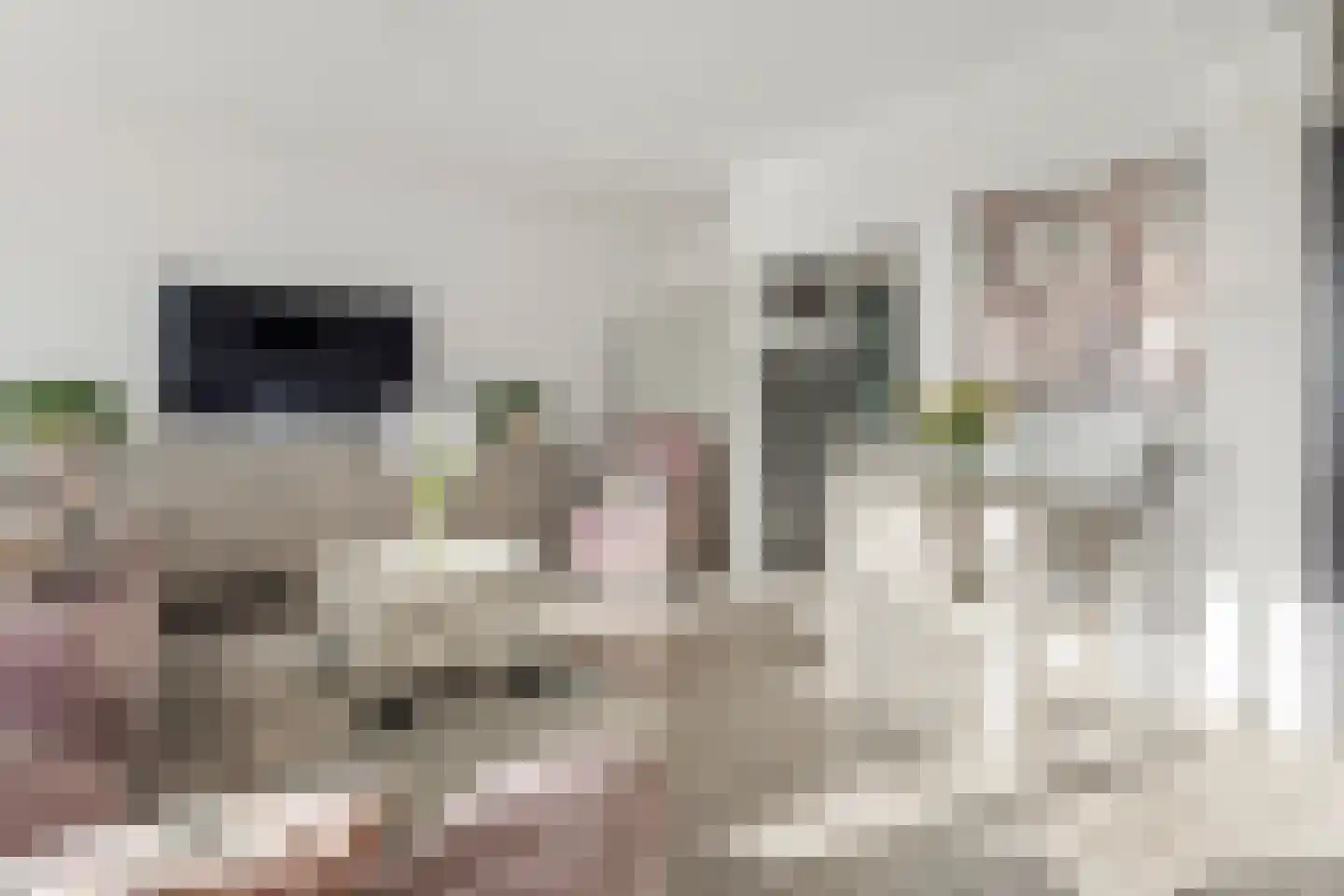 Mozartlaan 53 Den Haag thumbnail 8