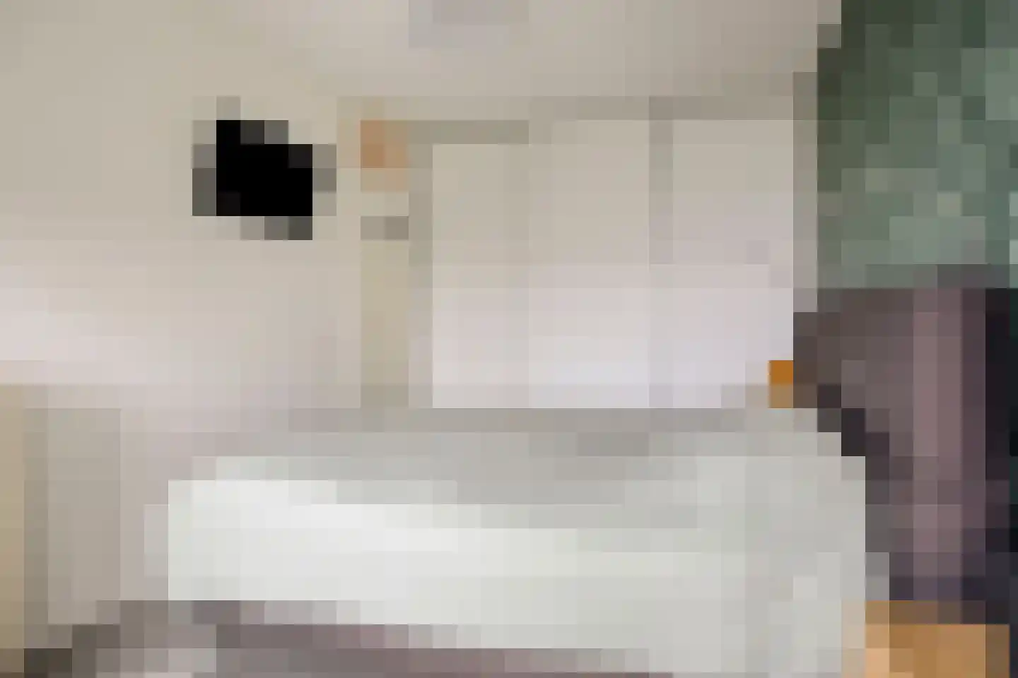 Mozartlaan 547 Tilburg thumbnail 21
