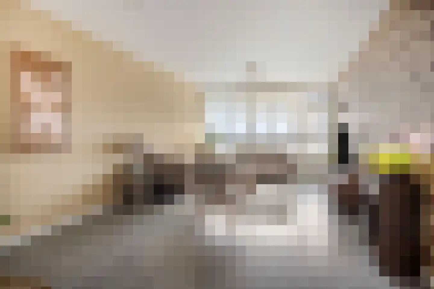 Mozartlaan 547 Tilburg thumbnail 4