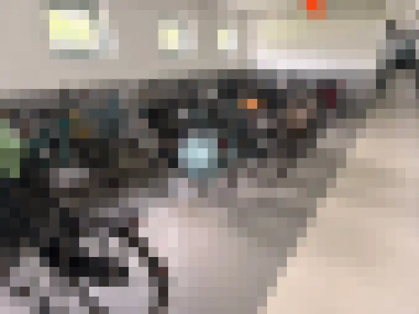 Mozartlaan 55 Voorschoten thumbnail 31