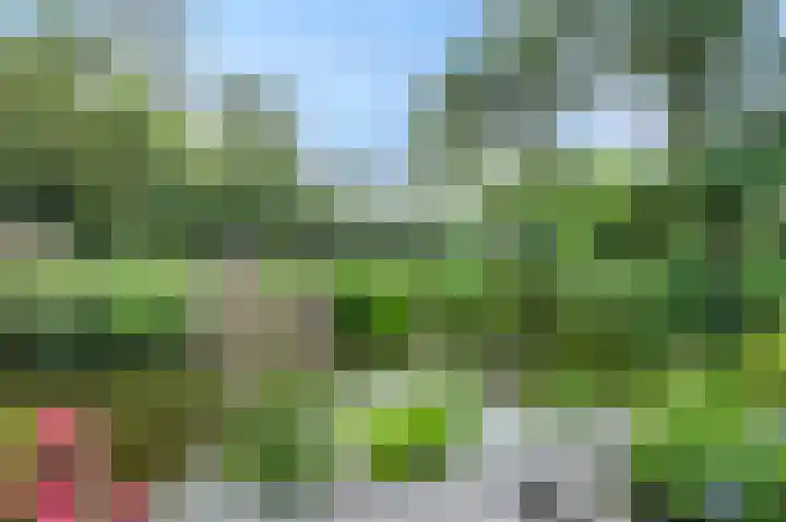 Mozartlaan 59 Akersloot thumbnail 26