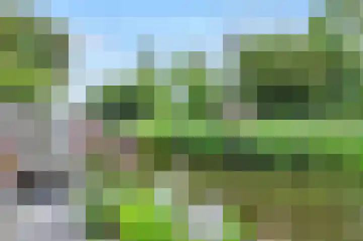 Mozartlaan 59 Akersloot thumbnail 27