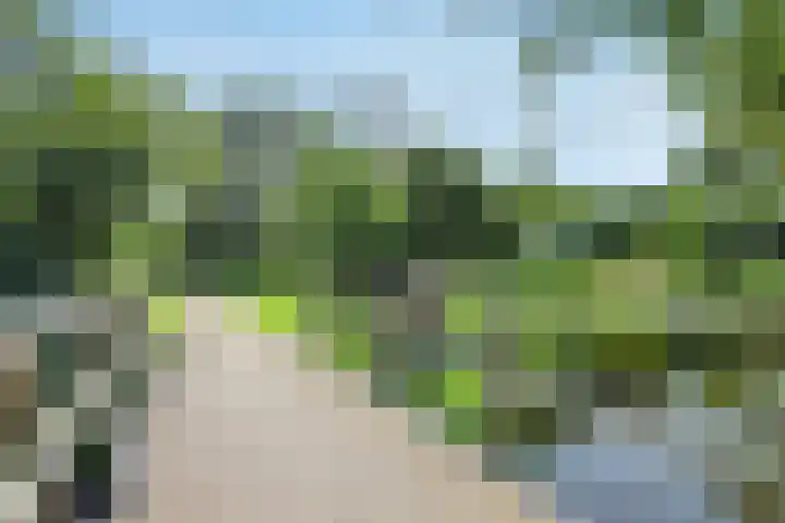 Mozartlaan 59 Akersloot thumbnail 29
