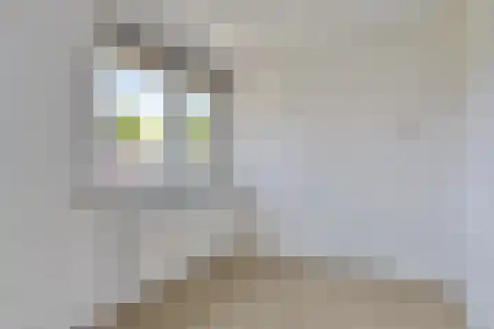 Mozartlaan 59 Hengelo thumbnail 21