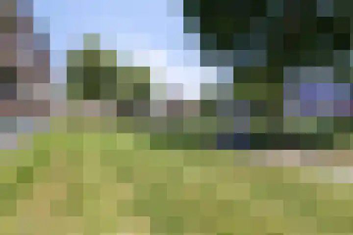 Mozartlaan 59 Hengelo thumbnail 29