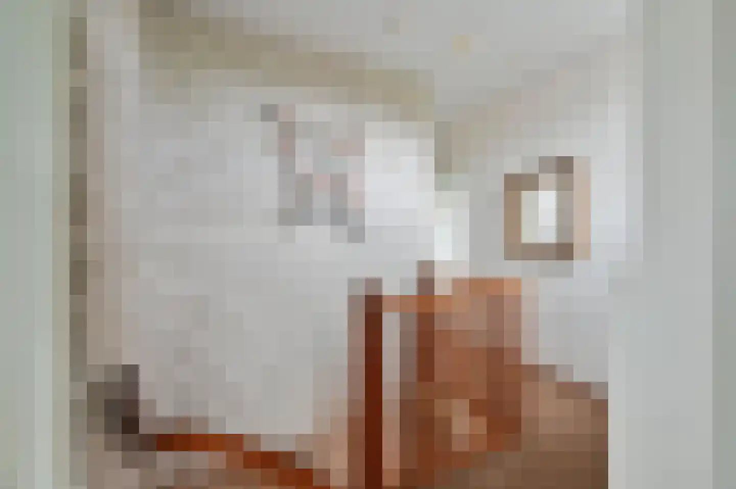 Mozartlaan 6 Voorthuizen thumbnail 16