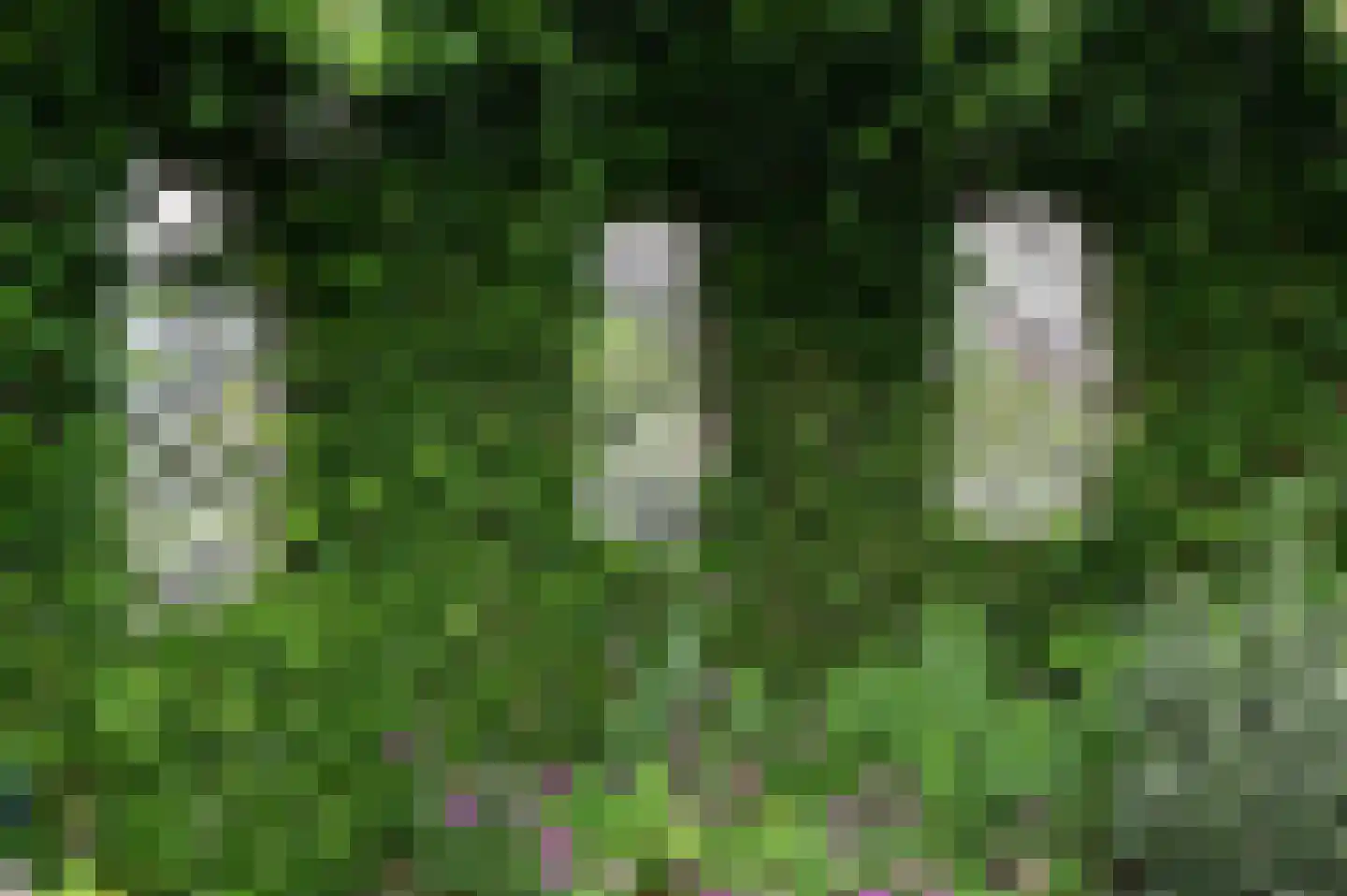 Mozartlaan 6 Voorthuizen thumbnail 27