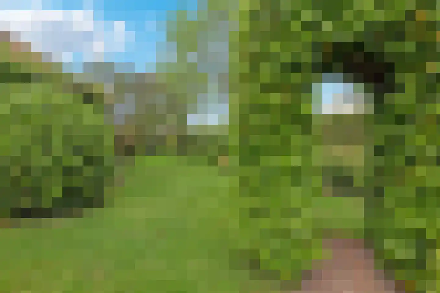 Mozartlaan 6 Voorthuizen thumbnail 31