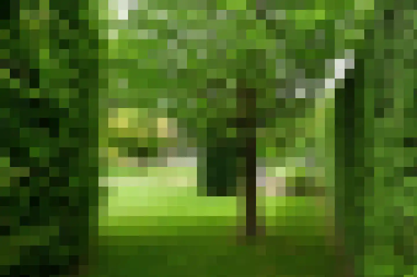 Mozartlaan 6 Voorthuizen thumbnail 33