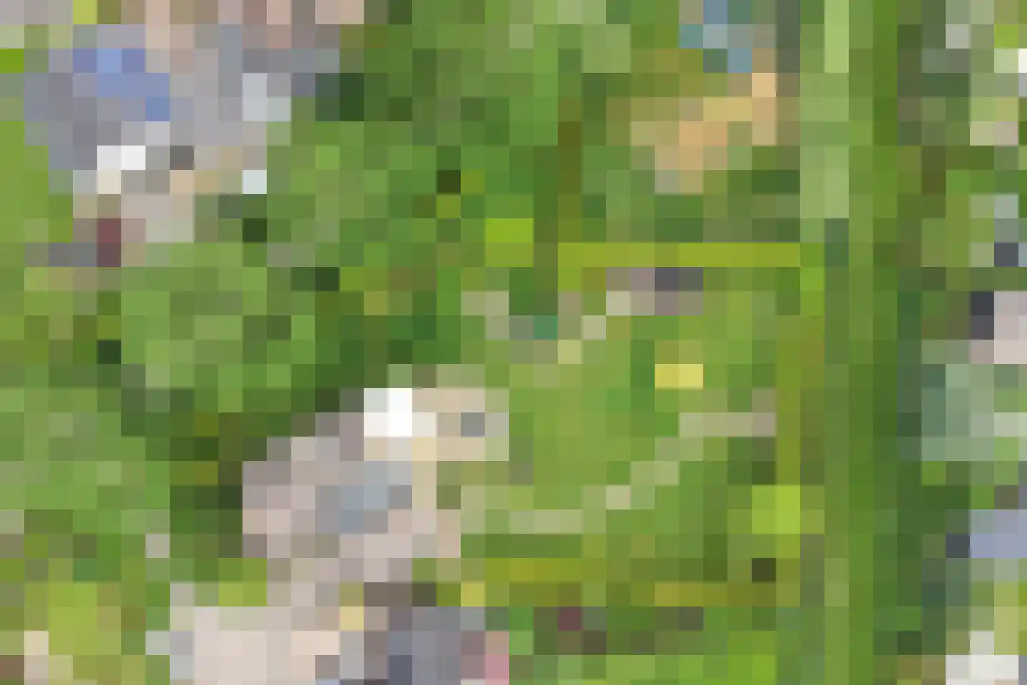 Mozartlaan 6 Voorthuizen thumbnail 35