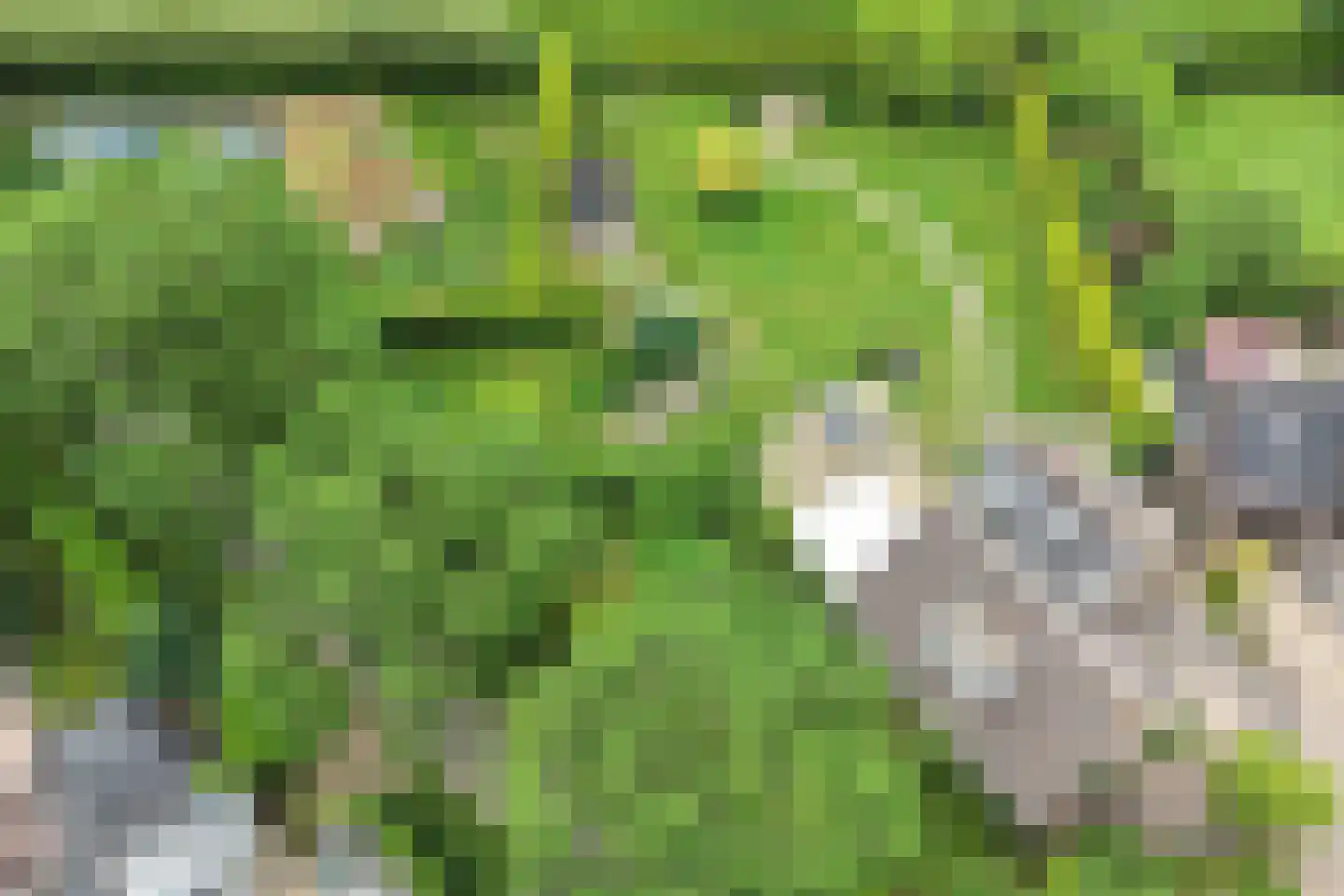 Mozartlaan 6 Voorthuizen thumbnail 36