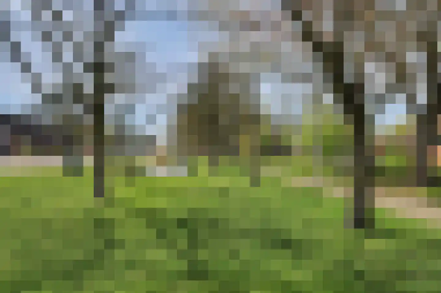 Mozartlaan 6 Waalwijk thumbnail 18