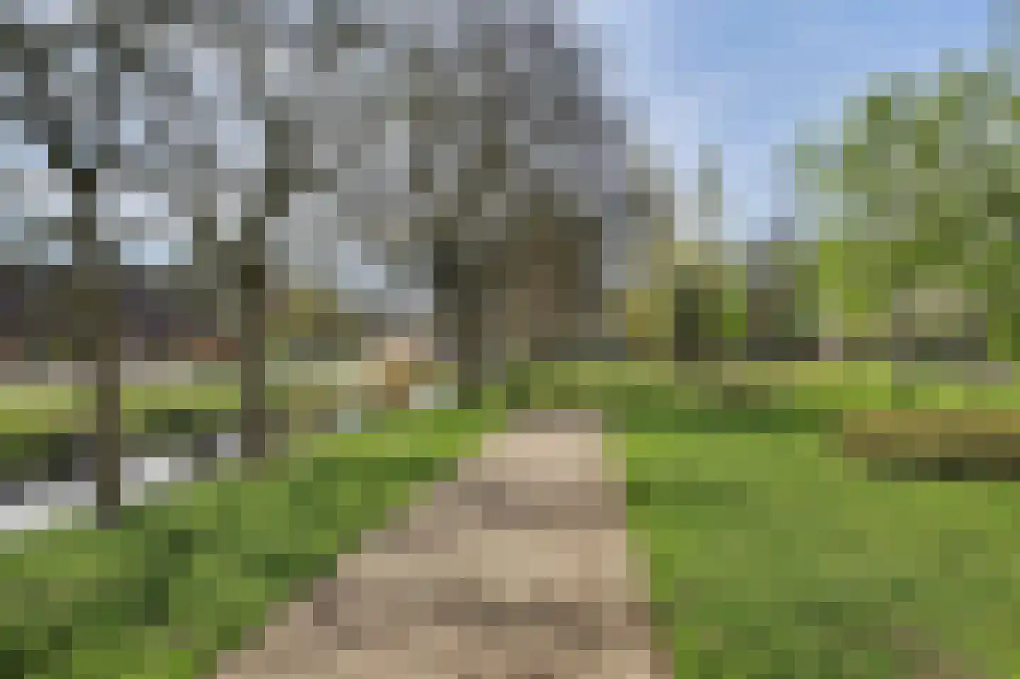 Mozartlaan 6 Waalwijk thumbnail 5