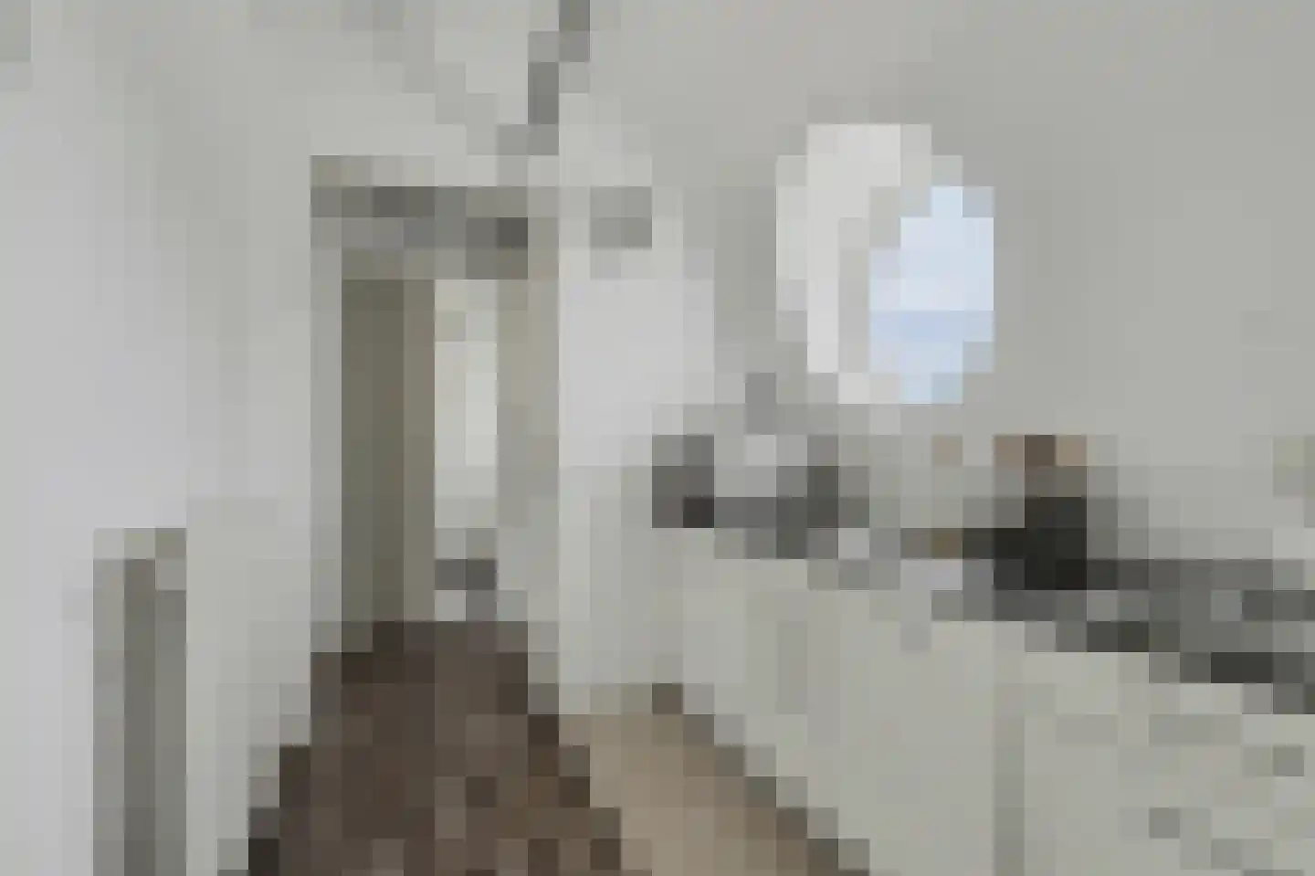 Mozartlaan 6 Waalwijk thumbnail 9