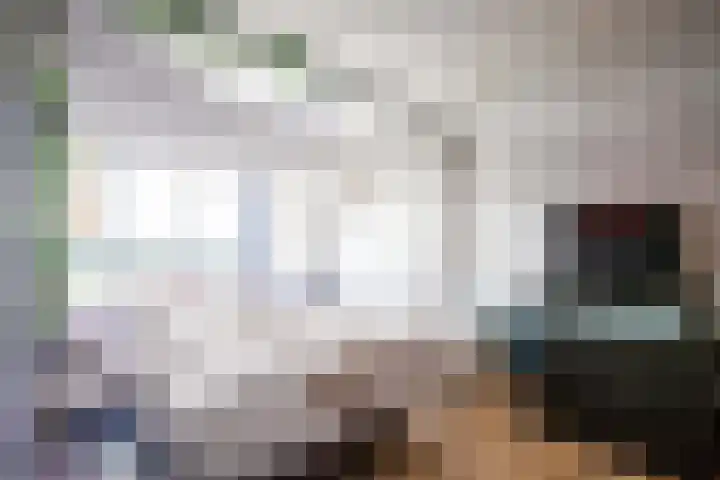 Mozartlaan 609 Tilburg thumbnail 18