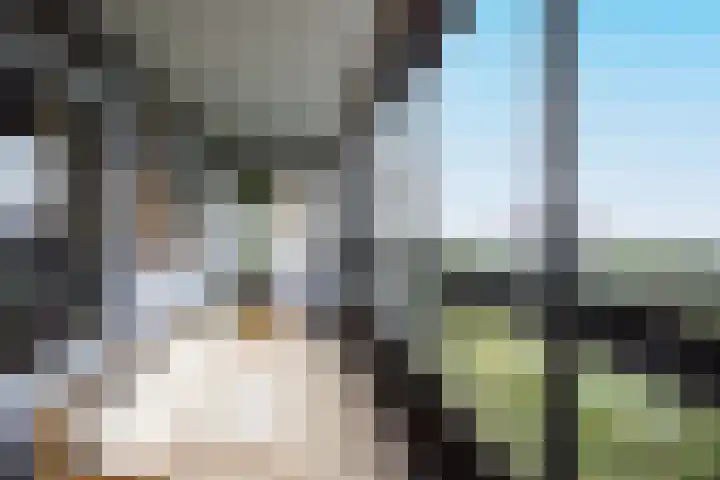 Mozartlaan 609 Tilburg thumbnail 22