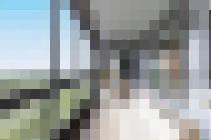 Mozartlaan 609 Tilburg thumbnail 23