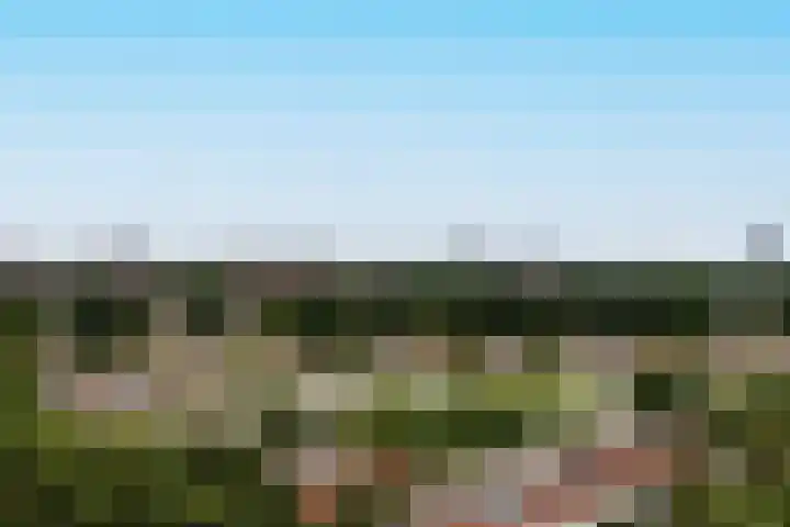 Mozartlaan 609 Tilburg thumbnail 24