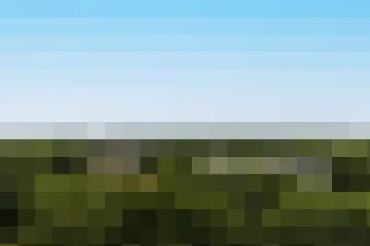 Mozartlaan 609 Tilburg thumbnail 26