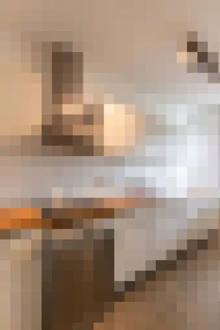 Mozartlaan 609 Tilburg thumbnail 5