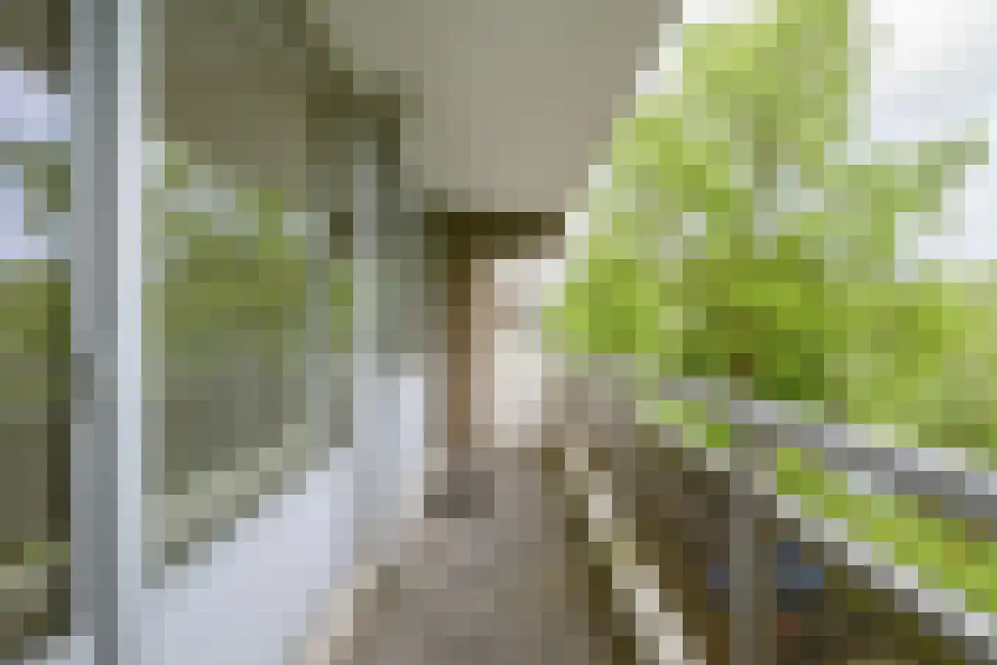 Mozartlaan 62 Breda thumbnail 32