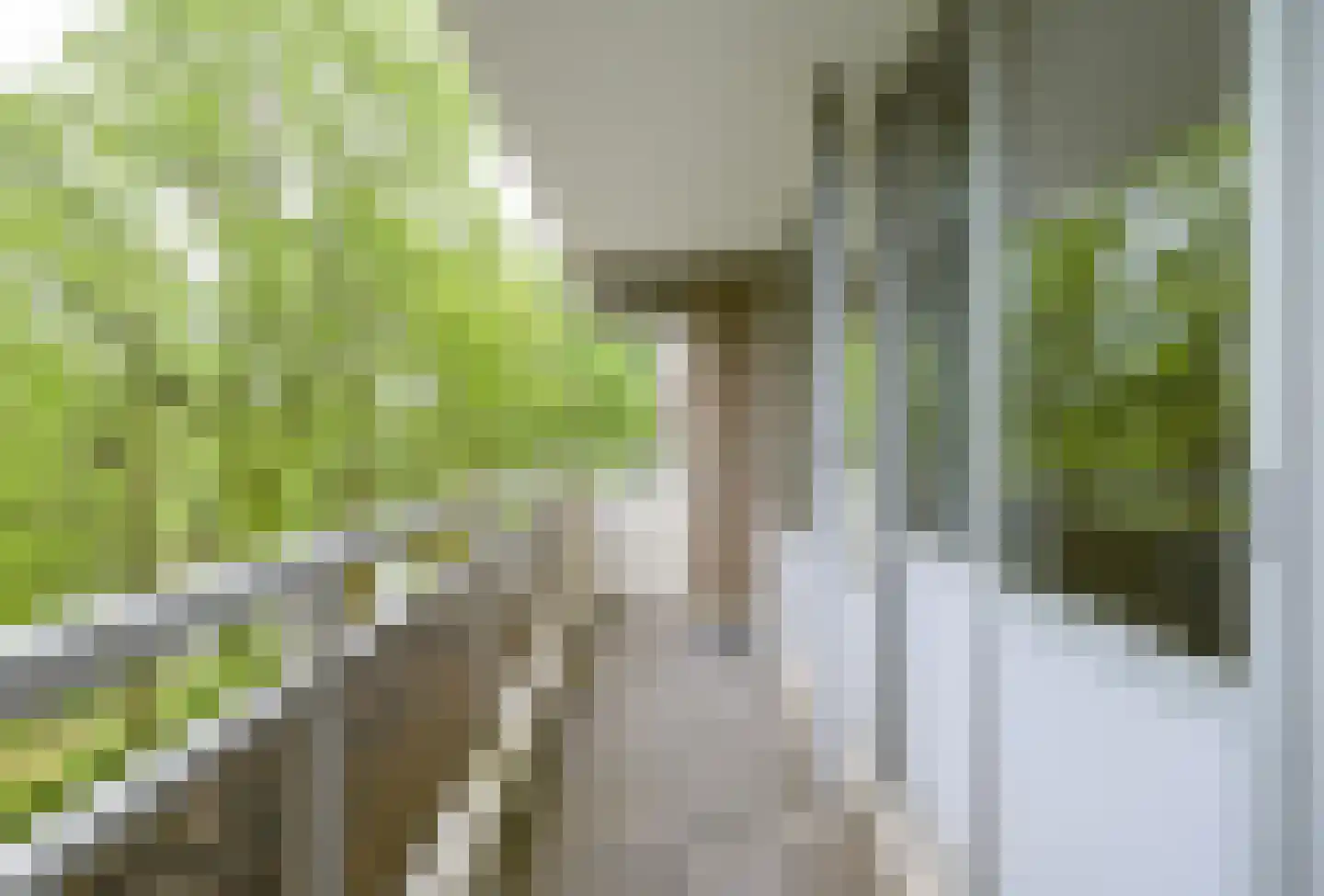 Mozartlaan 62 Breda thumbnail 33