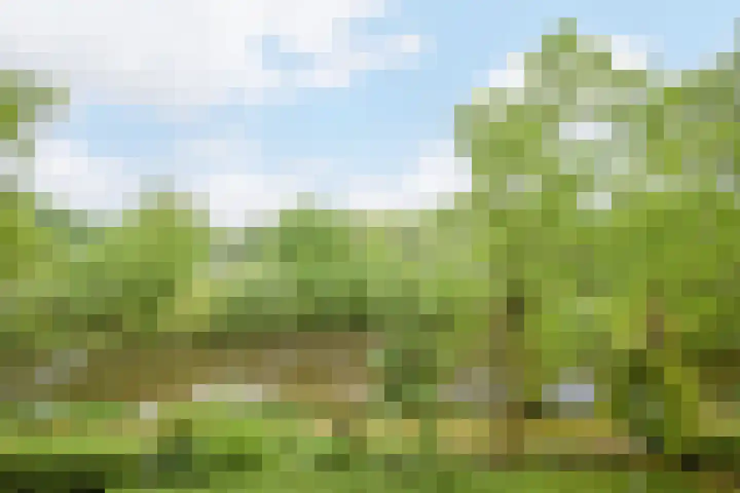 Mozartlaan 62 Breda thumbnail 35