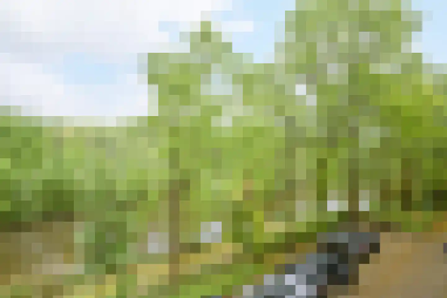 Mozartlaan 62 Breda thumbnail 54