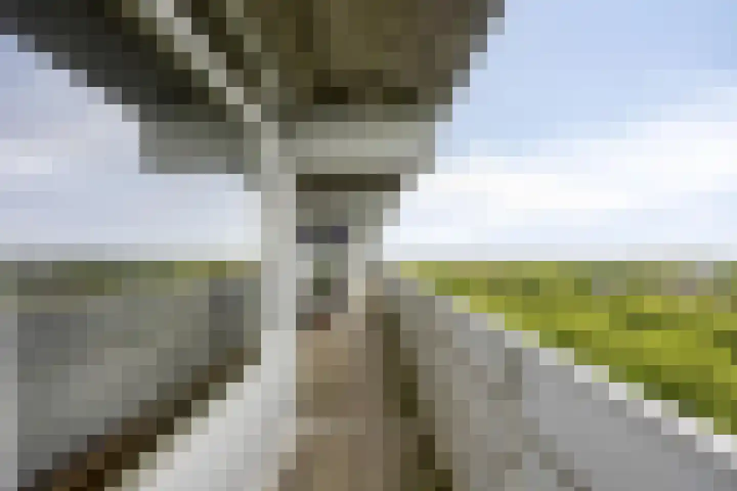 Mozartlaan 625 Tilburg thumbnail 11