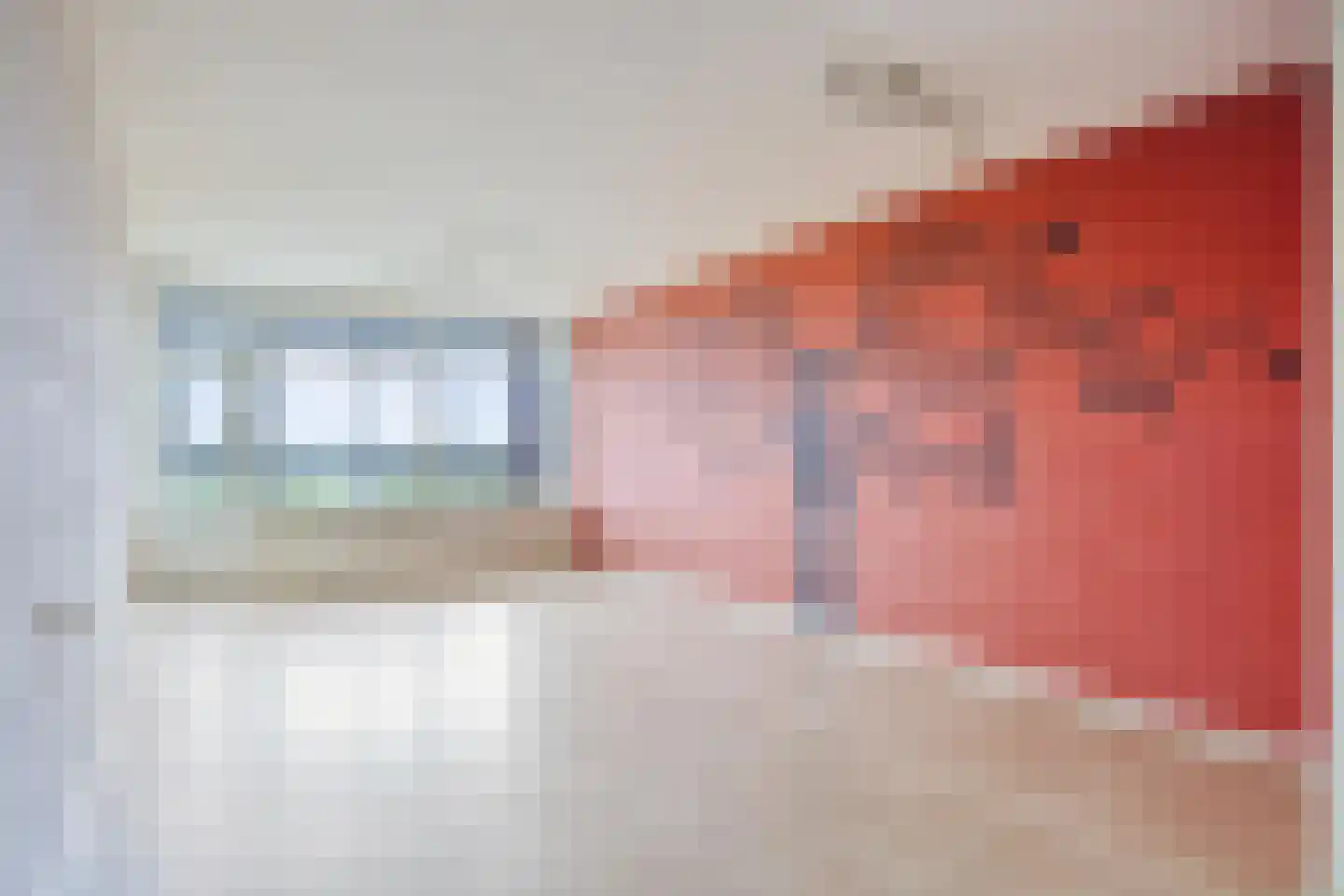 Mozartlaan 625 Tilburg thumbnail 13
