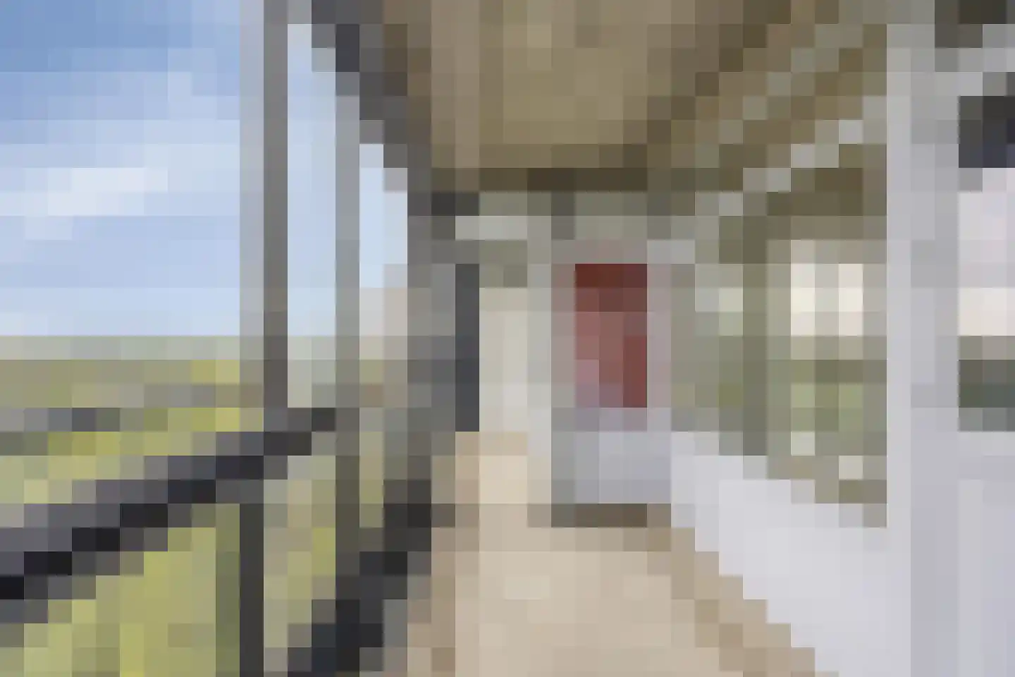 Mozartlaan 625 Tilburg thumbnail 20