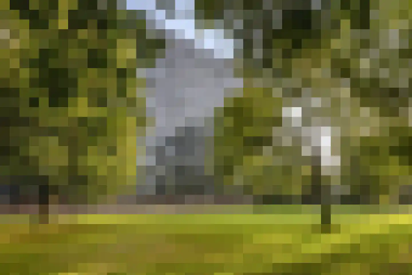 Mozartlaan 631 Tilburg thumbnail 41