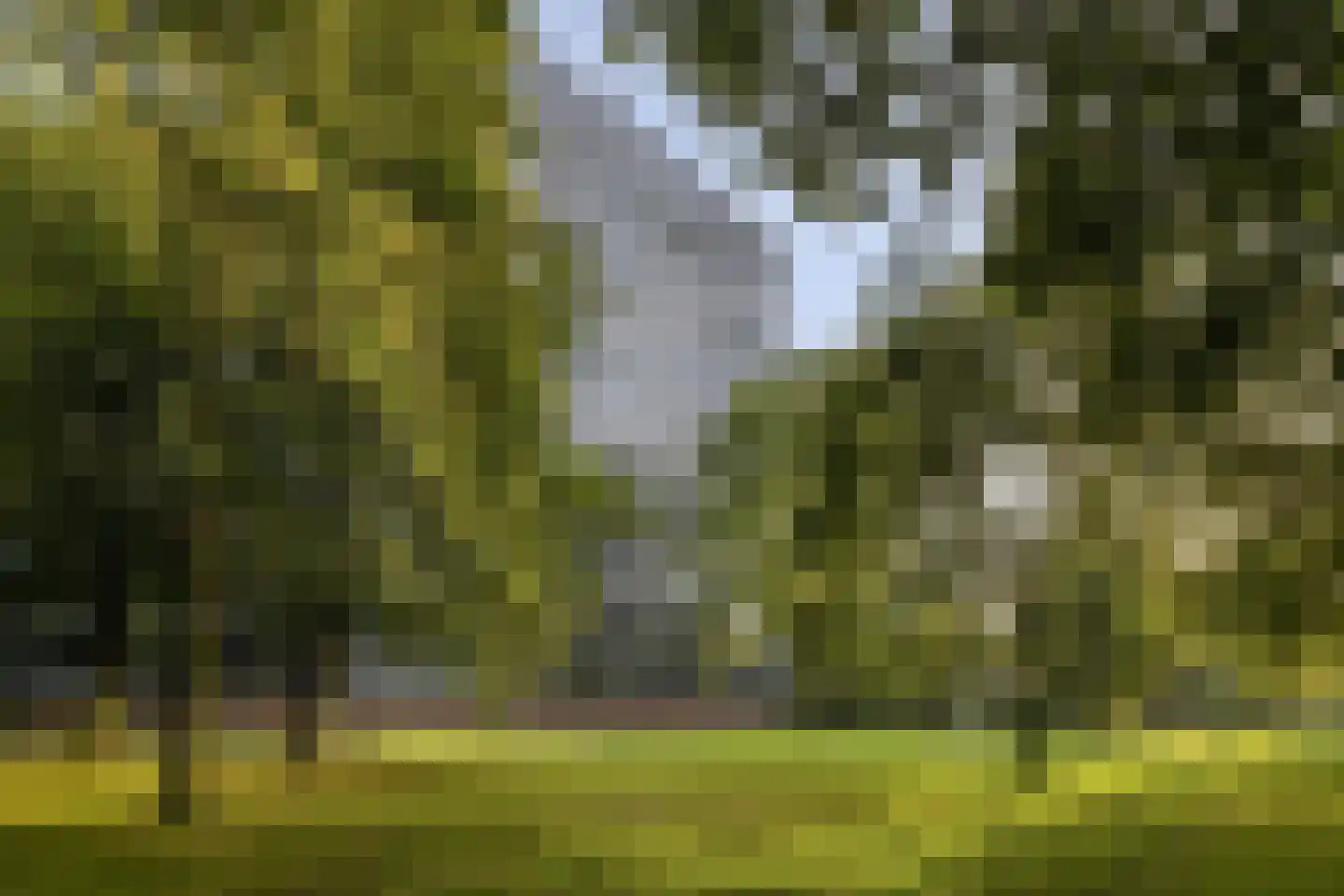 Mozartlaan 631 Tilburg thumbnail 44