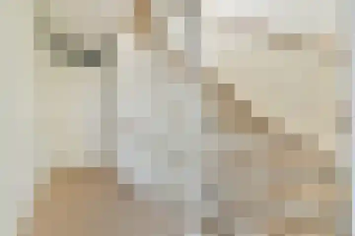 Mozartlaan 65 Voorhout thumbnail 16
