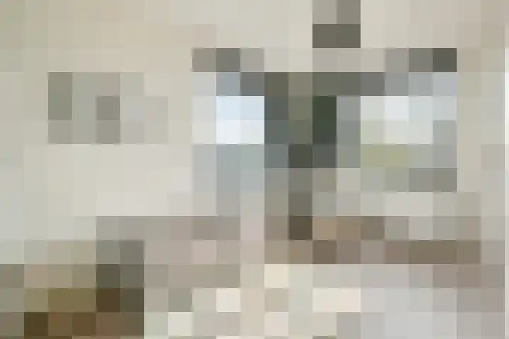 Mozartlaan 65 Voorhout thumbnail 21