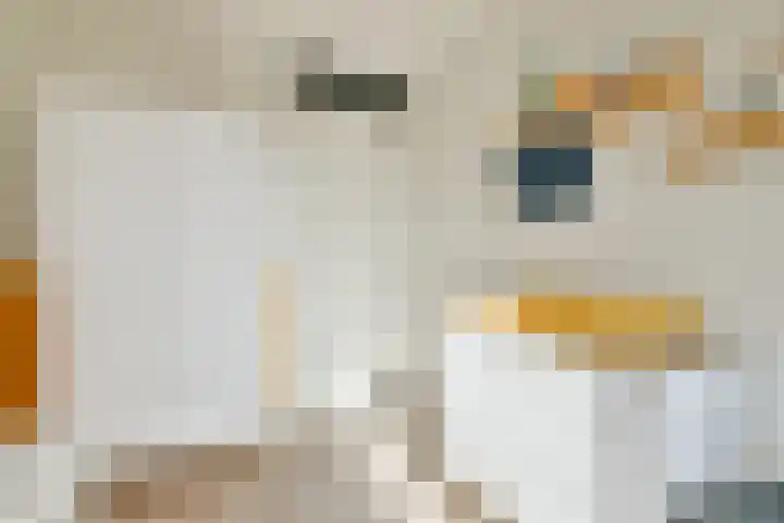Mozartlaan 65 Voorhout thumbnail 24