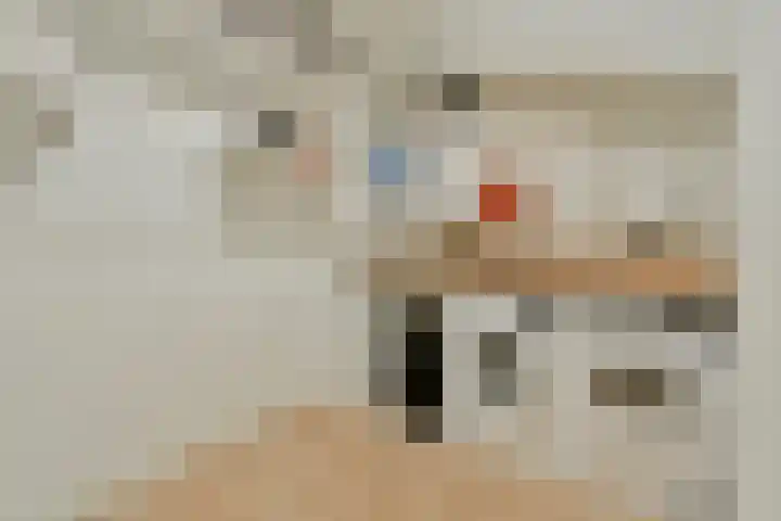 Mozartlaan 65 Voorhout thumbnail 28