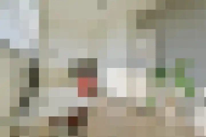 Mozartlaan 65 Voorhout thumbnail 29