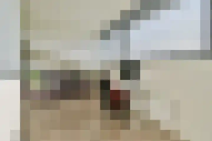 Mozartlaan 65 Voorhout thumbnail 30