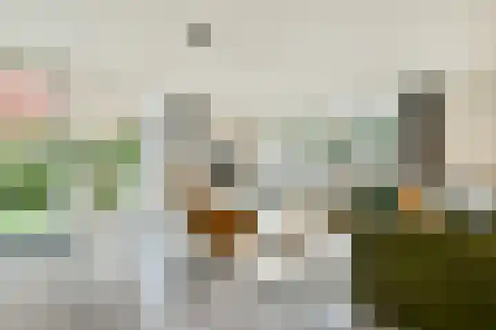 Mozartlaan 65 Voorhout thumbnail 5
