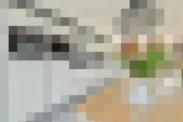 Mozartlaan 65 Voorhout thumbnail 8