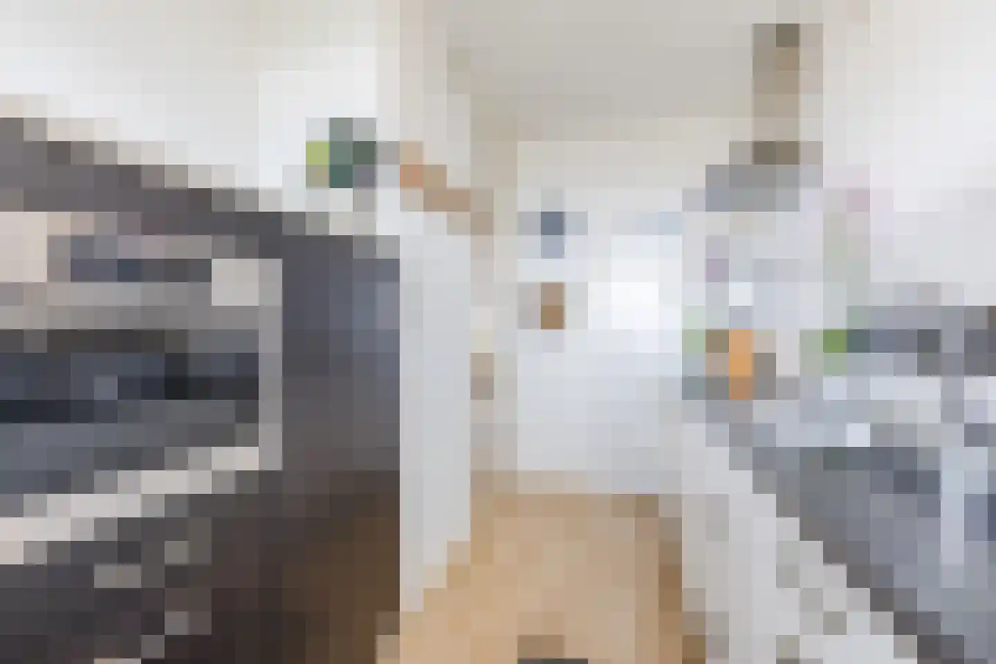 Mozartlaan 665 Tilburg thumbnail 12