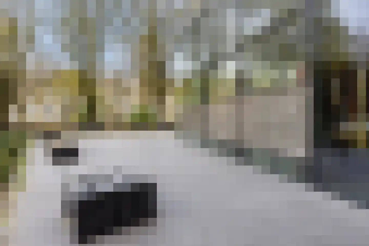 Mozartlaan 665 Tilburg thumbnail 30
