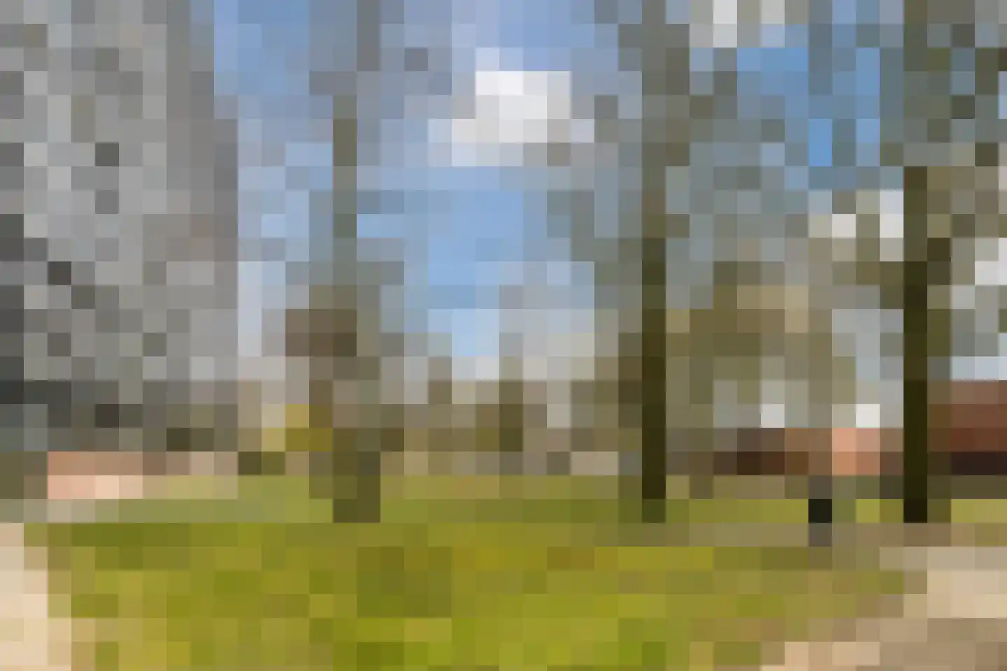 Mozartlaan 665 Tilburg thumbnail 32