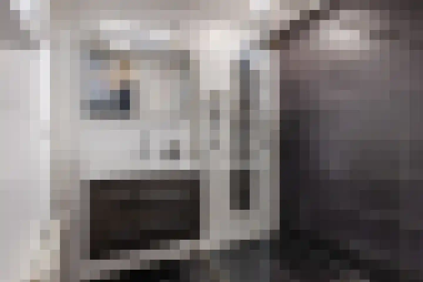 Mozartlaan 669 Tilburg thumbnail 24