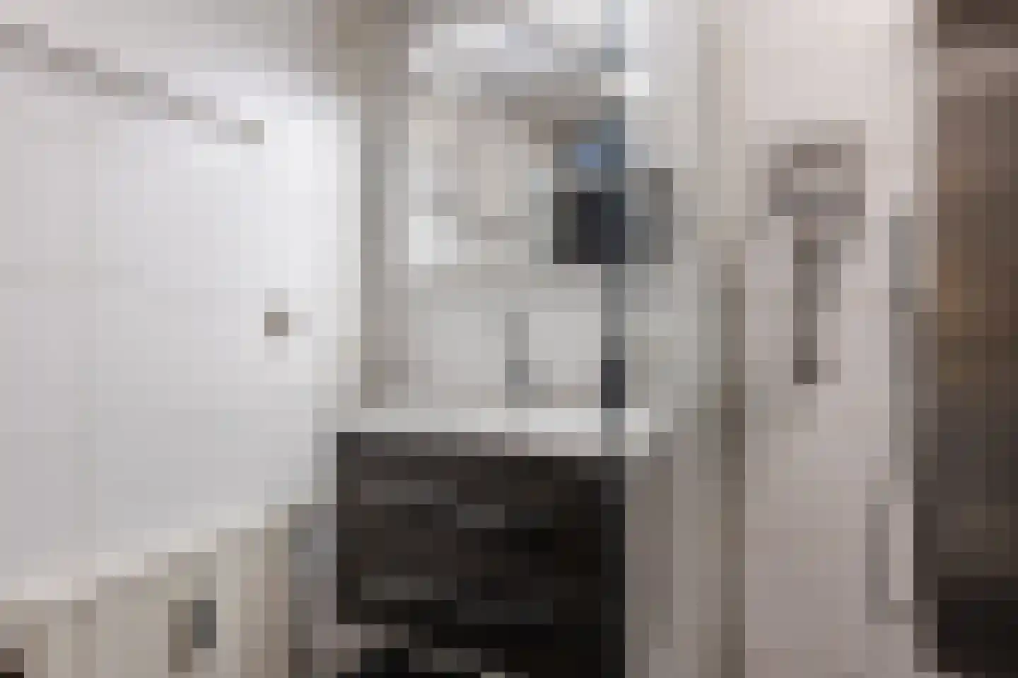 Mozartlaan 669 Tilburg thumbnail 25