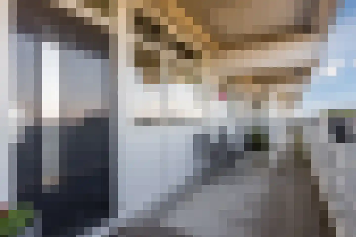 Mozartlaan 669 Tilburg thumbnail 26