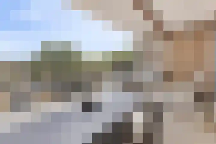 Mozartlaan 68 Breda thumbnail 22