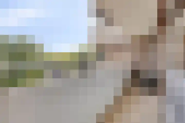 Mozartlaan 68 Breda thumbnail 23